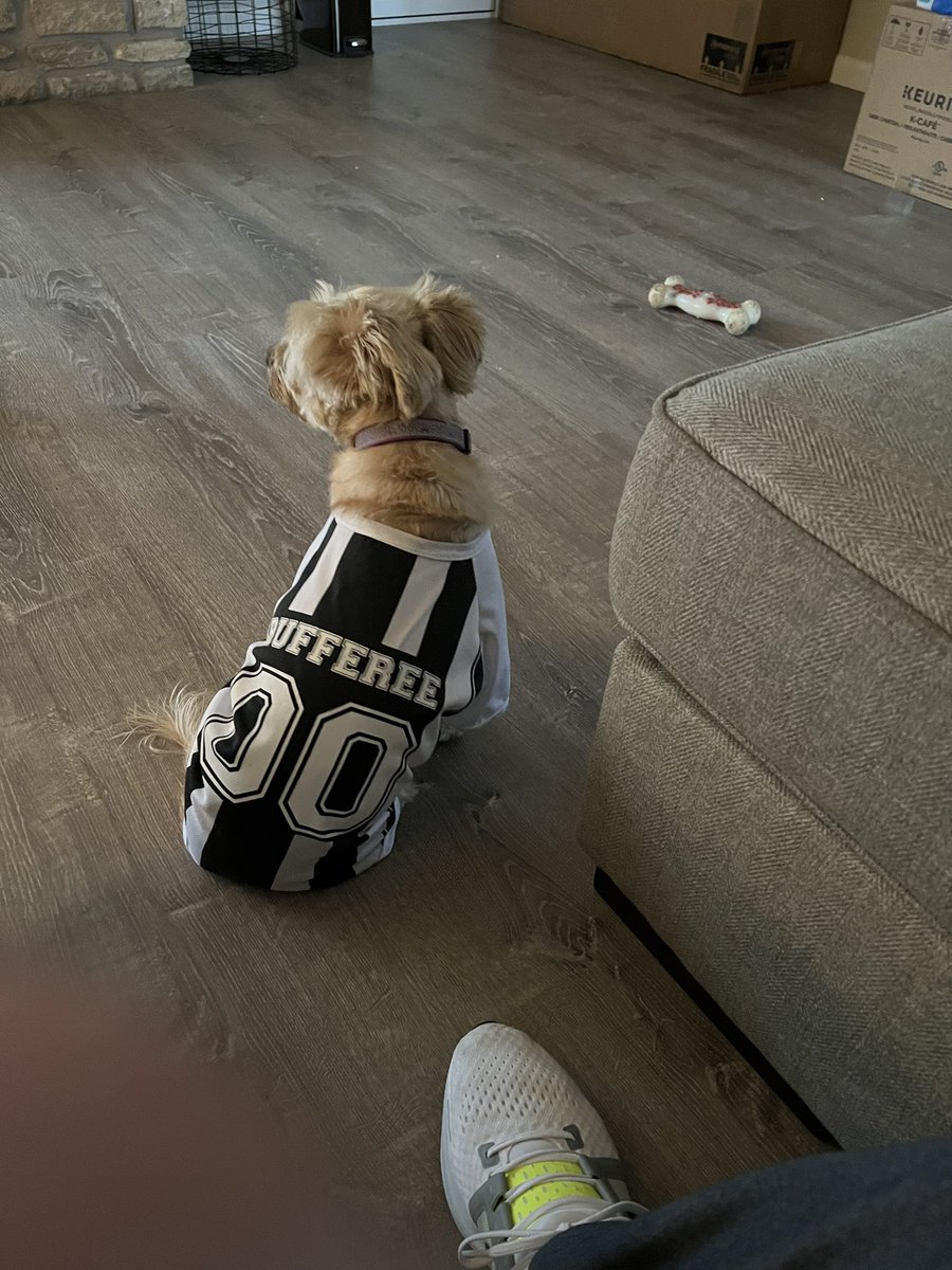 FYAPhoenix's tweet photo. Due to a shortage of officials, I had to recruit in house.
#Rufferee
#GetEmTogether 
#ControlTheGames https://t.co/SARkUGvWHE