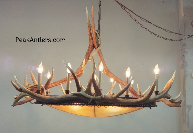 PeakAntlerCo's tweet photo. Our Oval Mt Bross is perfect for over a dining room table and will bring beautiful amber lighting into any home!
https://t.co/WVoI3YXihT
#mtbross #elkantler #chandlier #rustic #rawhideshade #tepeakantlercompany https://t.co/masqpQnKbc