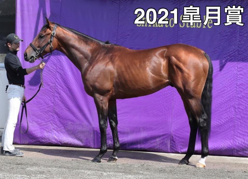 エフフォーリアアクリルオブジェ　有馬記念、天皇賞秋セット　おまけ付き Amazon.co.jp: アクリルオブジェ エフフォーリア ウマ娘 競馬