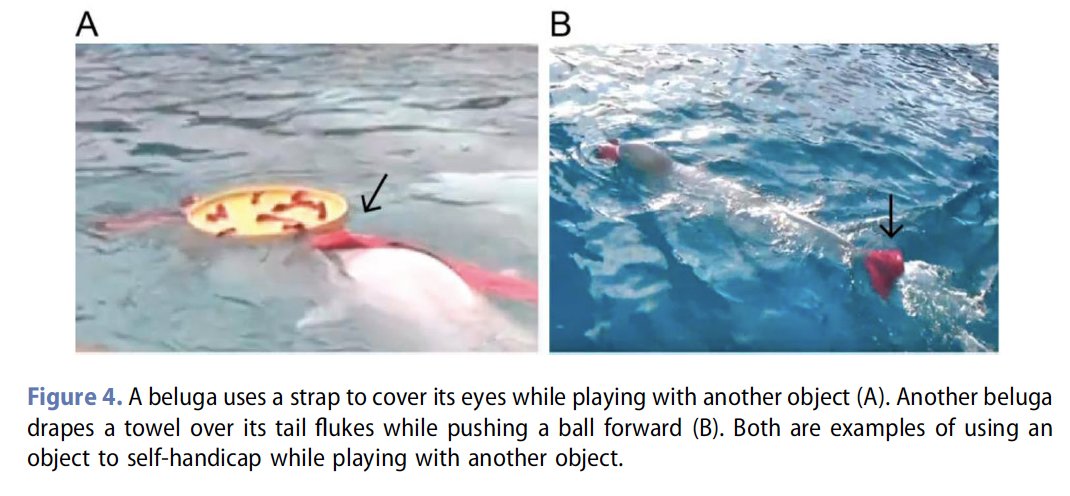 Jackson R. Ham tweet media