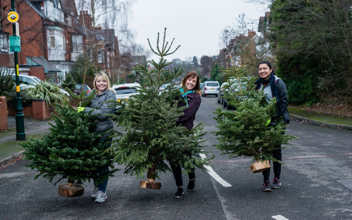 BrumHour's tweet photo. January 2023: Treecycling returns with The Hospice Charity Partnership

Read more via @brumshospice on #BrumHour's website:
https://t.co/xWN8sDDiMP
#Birmingham https://t.co/U5wlEKsD68