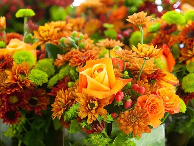 Toneykonrad's tweet photo. 💛💛💛 https://t.co/sx4LCnqrC6