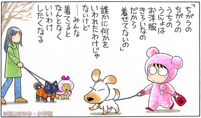 冬になると、お洋服着て散歩してるわんこがふえると思わない? 