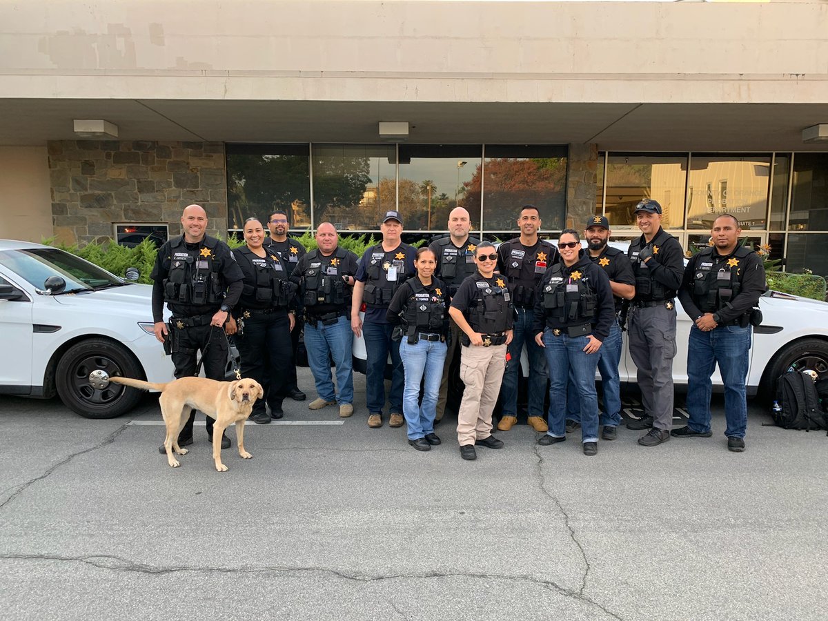 OCProbationDept's tweet photo. Recently, Unit 336 and several Deputy Probation Officers (DPO) conducted a probation home compliance sweep. The sweep was successful and done in a safe manner.
Great work everyone!
#JoinOCP #WeAreOCProbation #SaferOC #Lady #K9 https://t.co/nDVp94xngr