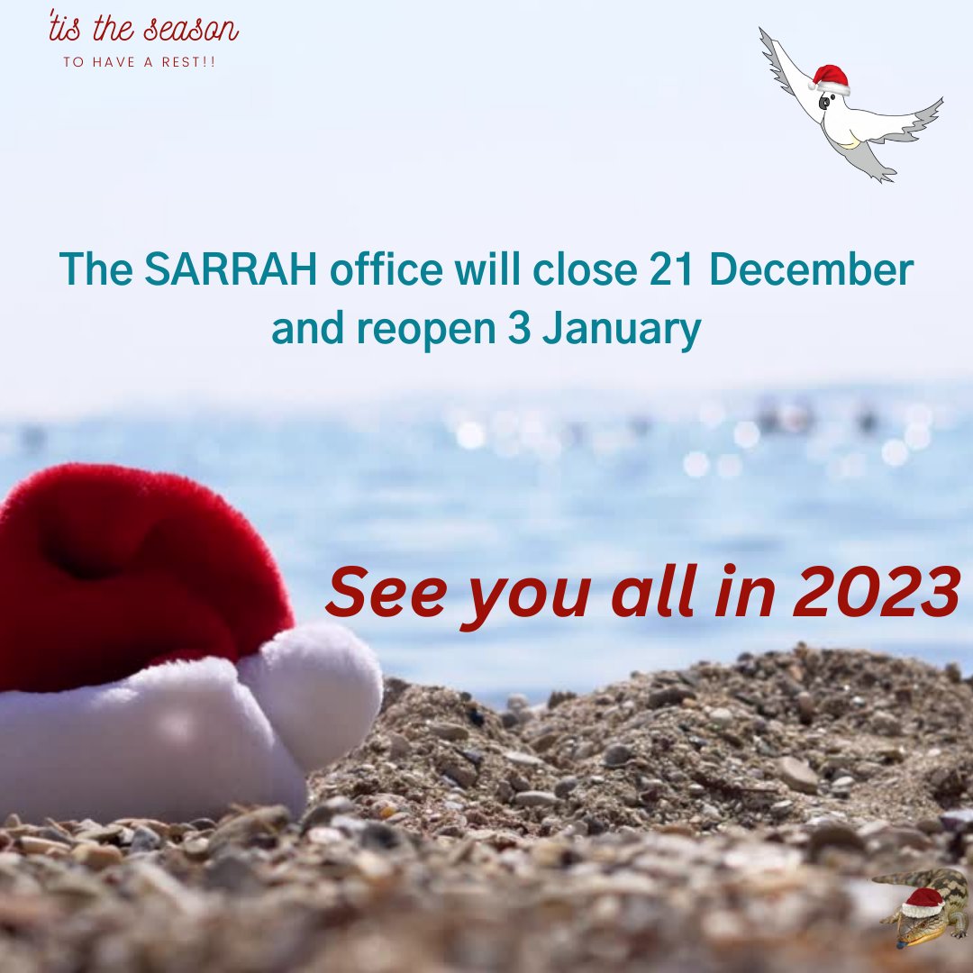 SARRAHealth's tweet photo. It's been a big year! Thanks to everyone who works so very hard to improve rural and remote allied health in Australia - looking forward to even bigger things in 2023. #ruralandremotehealth #alliedhealth #merrychristmas #HappyNewYear #timeforarest #whereareyouheadedtoday https://t.co/IYDNIlaFkg