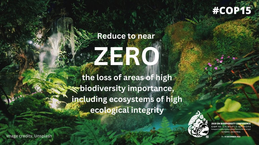 @CBD_COP15 historical agreement adopted to prevent the possible extinction of thousands of animal & plant species include: Reduce to near zero the loss of areas of high #biodiversity importance, including ecosystems of high ecological integrity. #COP15Annnouncement #ForNature