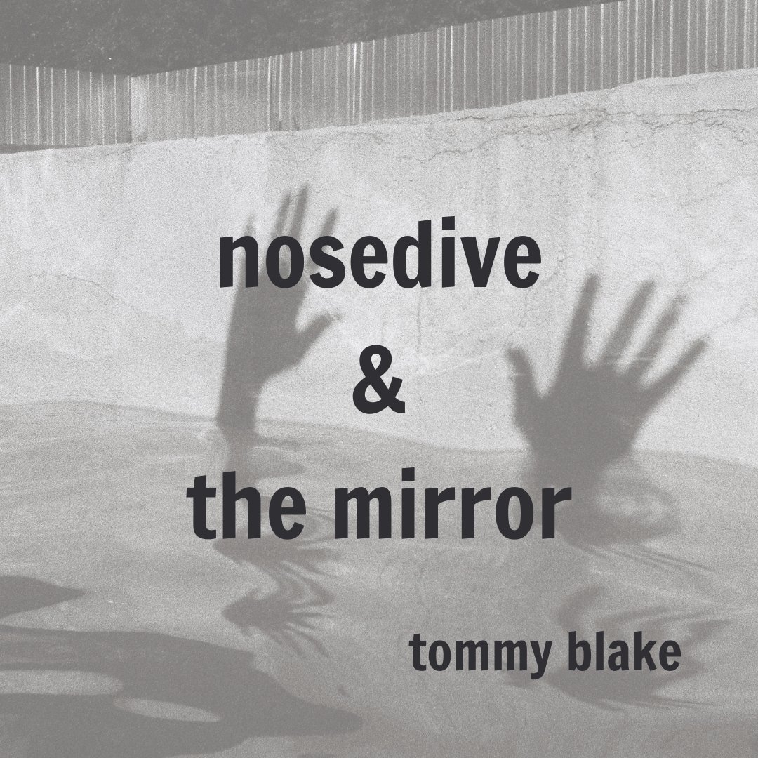 tommywyattblake's tweet photo. surprise book launch! it's digital only, memoir, $0+, &amp; please consider tipping. check out the carousel post to learn more about "nosedive &amp; the mirror".

thank you to @persephonesmag @ardentlywritten @clem_flowers for everything.

find it here: https://t.co/2KMwtRd1FO https://t.co/XzOgcFcYby