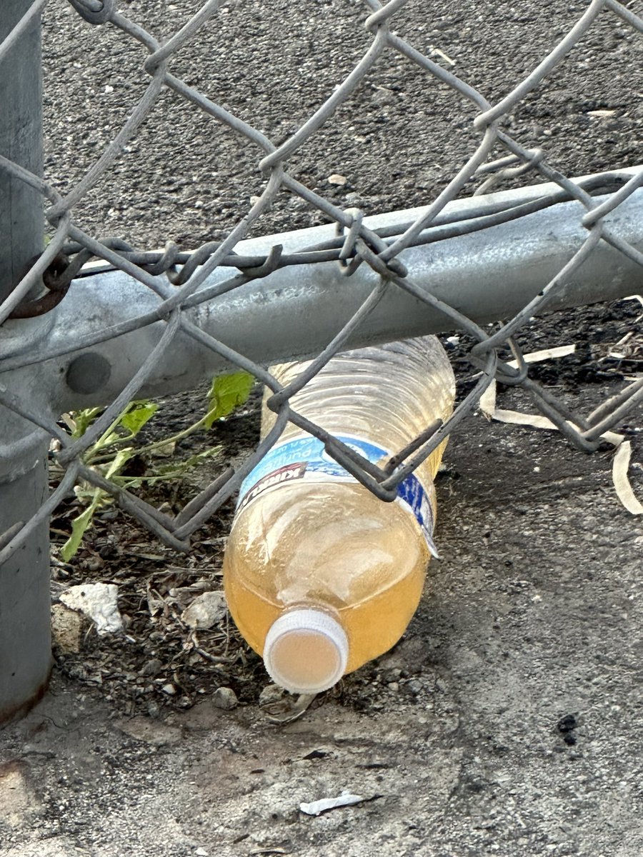 skygaven's tweet photo. @USPS @USPSHelp 
Your drivers are throwing their urine and feces on my property. You have a parking lot from station USPS Post Office Lugo
3641 E 8Th St 
Los Angeles, CA 90023-9998. Station Manager Vanessa has done nothing. I put in a complaint and nothing has been done. HELP! https://t.co/yywCxfj2kk