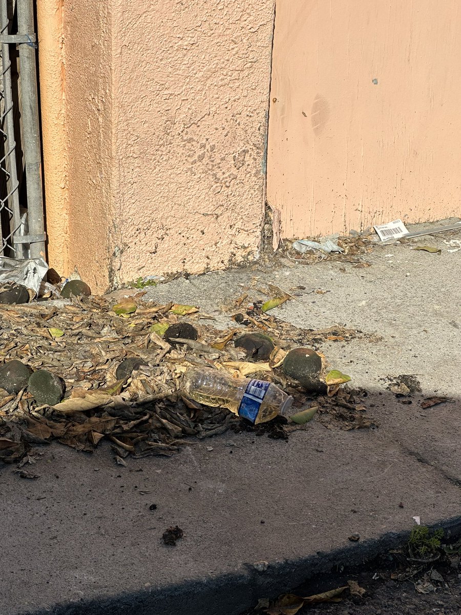 skygaven's tweet photo. @USPS @USPSHelp 
Your drivers are throwing their urine and feces on my property. You have a parking lot from station USPS Post Office Lugo
3641 E 8Th St 
Los Angeles, CA 90023-9998. Station Manager Vanessa has done nothing. I put in a complaint and nothing has been done. HELP! https://t.co/yywCxfj2kk