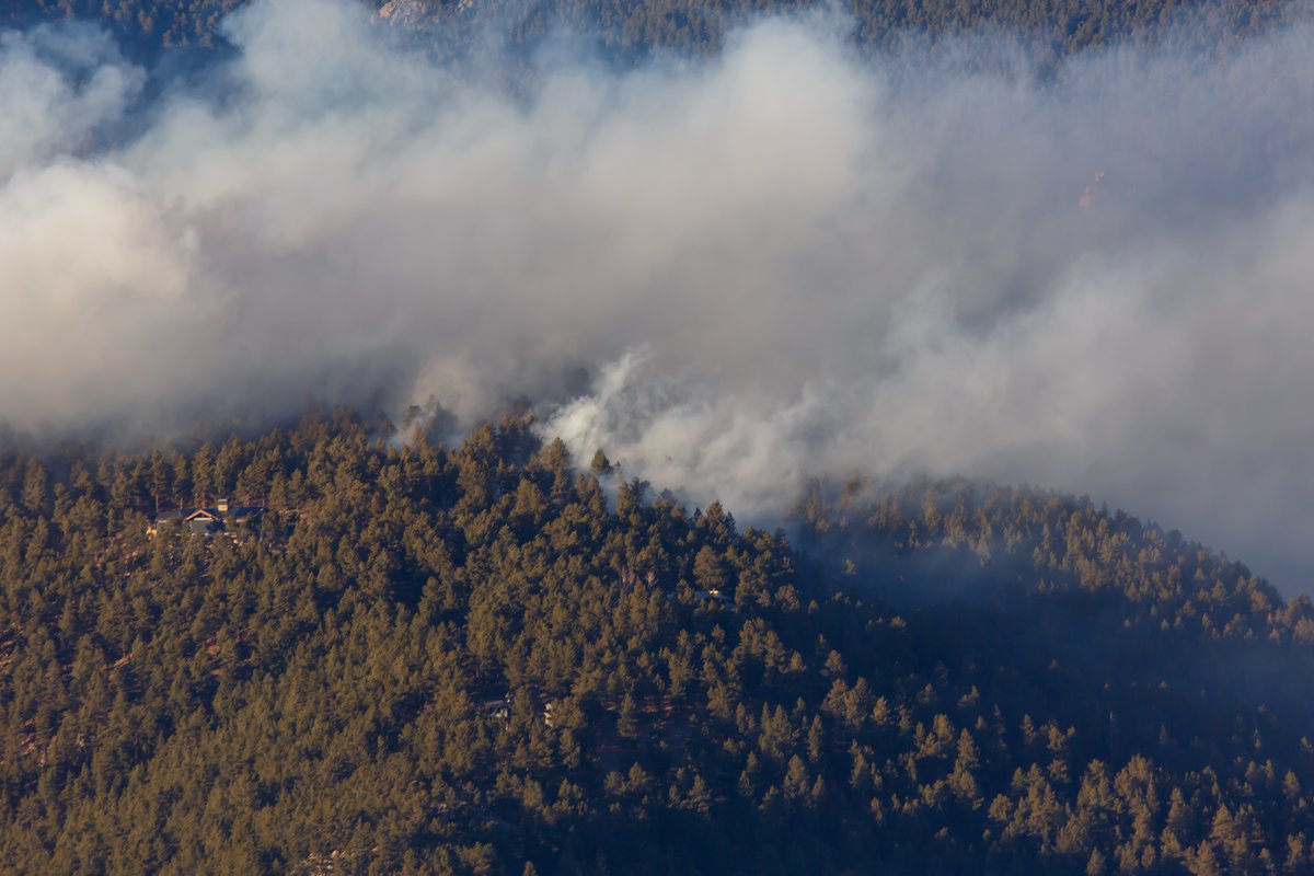 Jeff Finkelstein tweet media