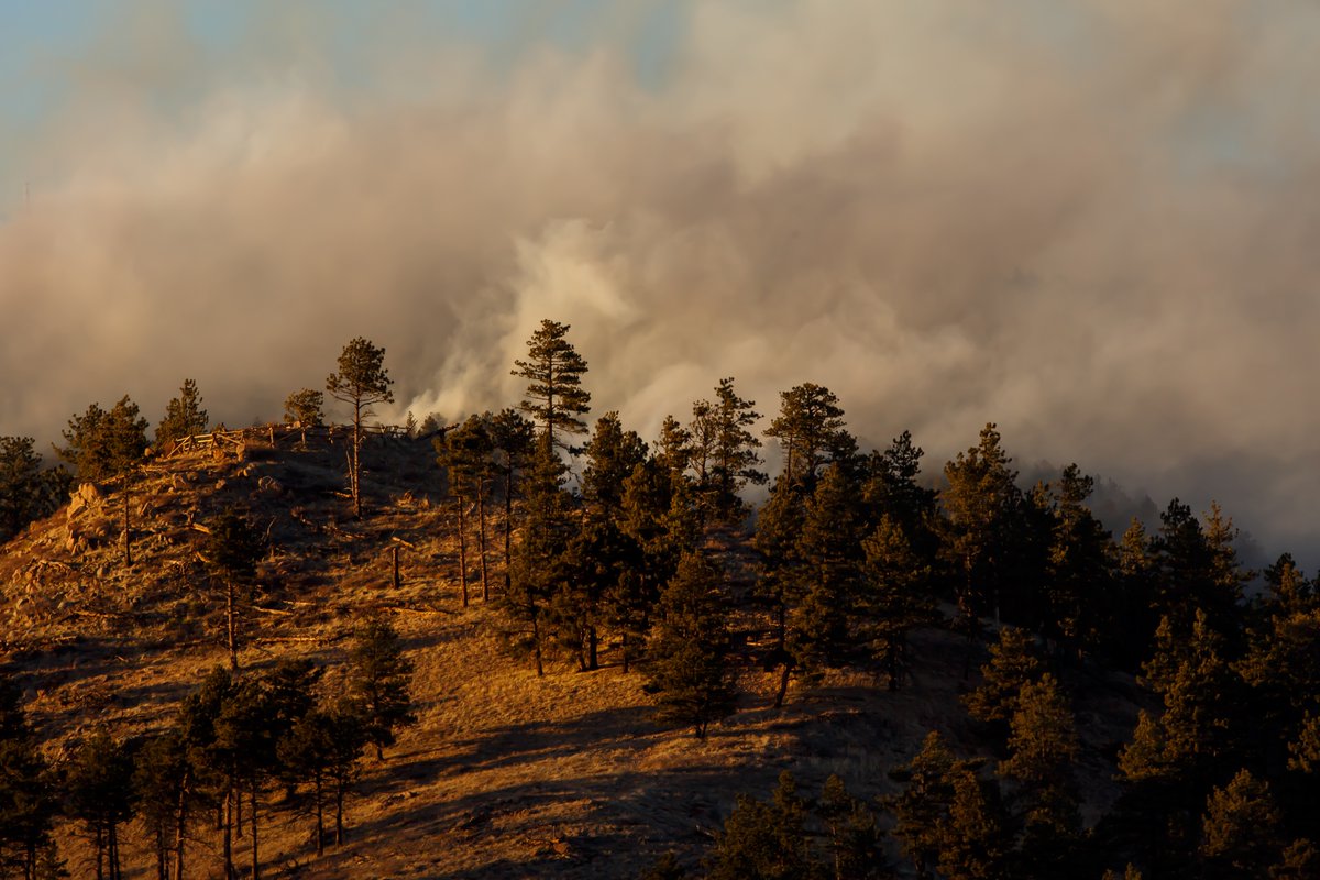 Jeff Finkelstein tweet media