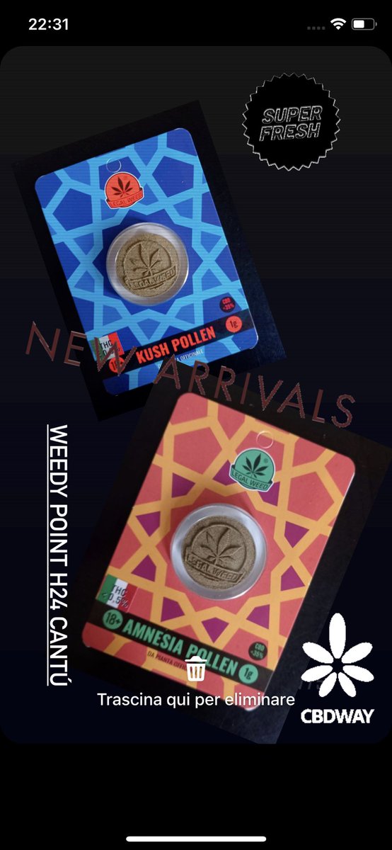 💚Weedy Point Cantú💚 (@gattoma77024303) on Twitter photo 