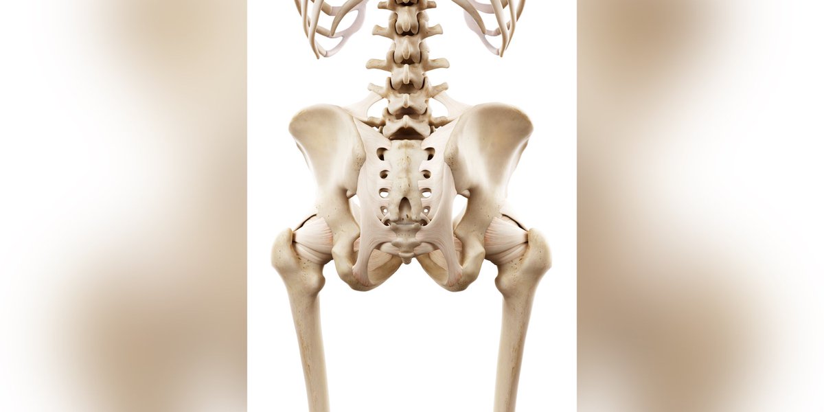 Resolution idea: Train the muscles that support your pelvis all year long.

Twice a week is enough to transform your body.