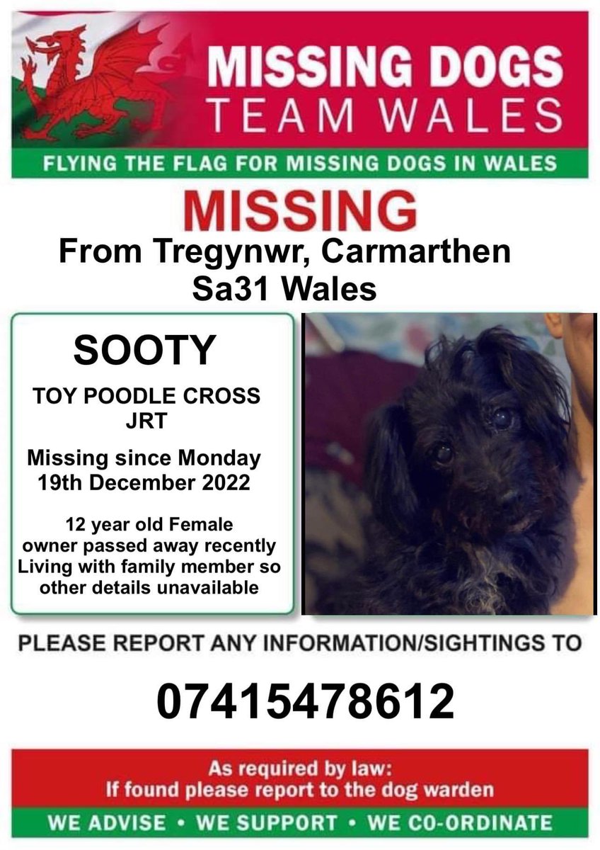 rosiedoc666's tweet photo. ‼️SOOTY #MISSING FROM #TREGYNWR , #CARMARTHEN, #SA31 area #WALES‼️
Mon 19/12/22
Sooty is with family member after owner sadly passed away.Pls look out for her and ring number on poster ASAP if seen or you have safe TY
https://t.co/eGIIaRCcnK
@CarmsRPU @Carmjournal @bs2510 https://t.co/5C1CmW2rYB