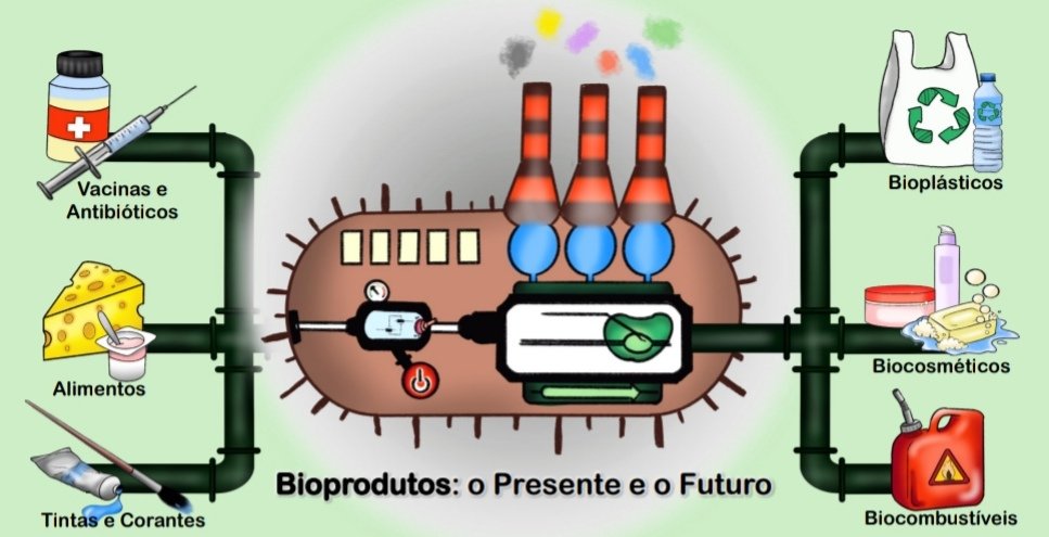 joanabcaldeira's tweet photo. "Bioprodutos: o Presente e o Futuro" foi um trabalho feito com muita dedicação por mim e pelo @ProencaNeves e ficou em 1º lugar na categoria Junior no concurso de Comunicação de Ciência em Microbiologia. 🧫🦠🎨💙
Muito obrigada à @SPMicrobiologia!
Tão bom juntar 2 paixões... 🥰💙 https://t.co/yQL0mRYBrQ