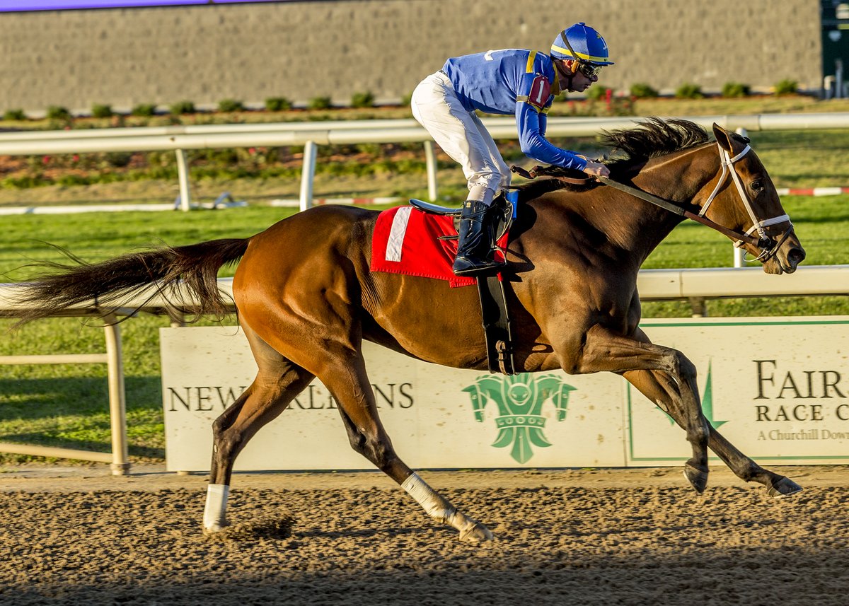 fairgroundsnola's tweet photo. Jace’s Road Tepid Favorite Over a Field of Upstarts in Monday’s Gun Runner | G2 Placed Pretty Mischievous, Upstart Vahva Headline Contentious Untapable https://t.co/DboGJIH1vm
✍️ @JoeyDaKRacing
📸 @hodgesphoto https://t.co/VVz5qTQ8EM