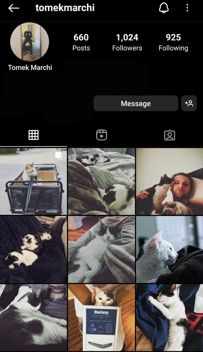 scentoftaint's tweet photo. Exclusive look into the official account of self-proclaimed genius and innovator behind #Sentivate, Tom Marchi...and it's just cat photos. Entirely. Accompanied by lengthy, sentimental captions describing his affection for them. No mention of $SNTVT, $VIAT, or #TheUniversalWeb. https://t.co/VZHj9RHrgX
