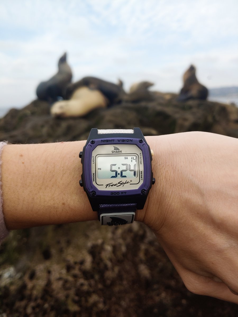 freestyle_watch's tweet photo. it's seal o'clock ⚡⏰🌊
🦈: Indigo Tan
📸: @alina_shredz
_
#rad #dailywatch #whowhatwearing #sealion #seal #instagood #surfingwatch #cool #watchoftheday #watches #beach #ocean #myfreestylewatch #waves #beachlife #watch https://t.co/IGFiXhr4yp https://t.co/PBaYJMw4YS