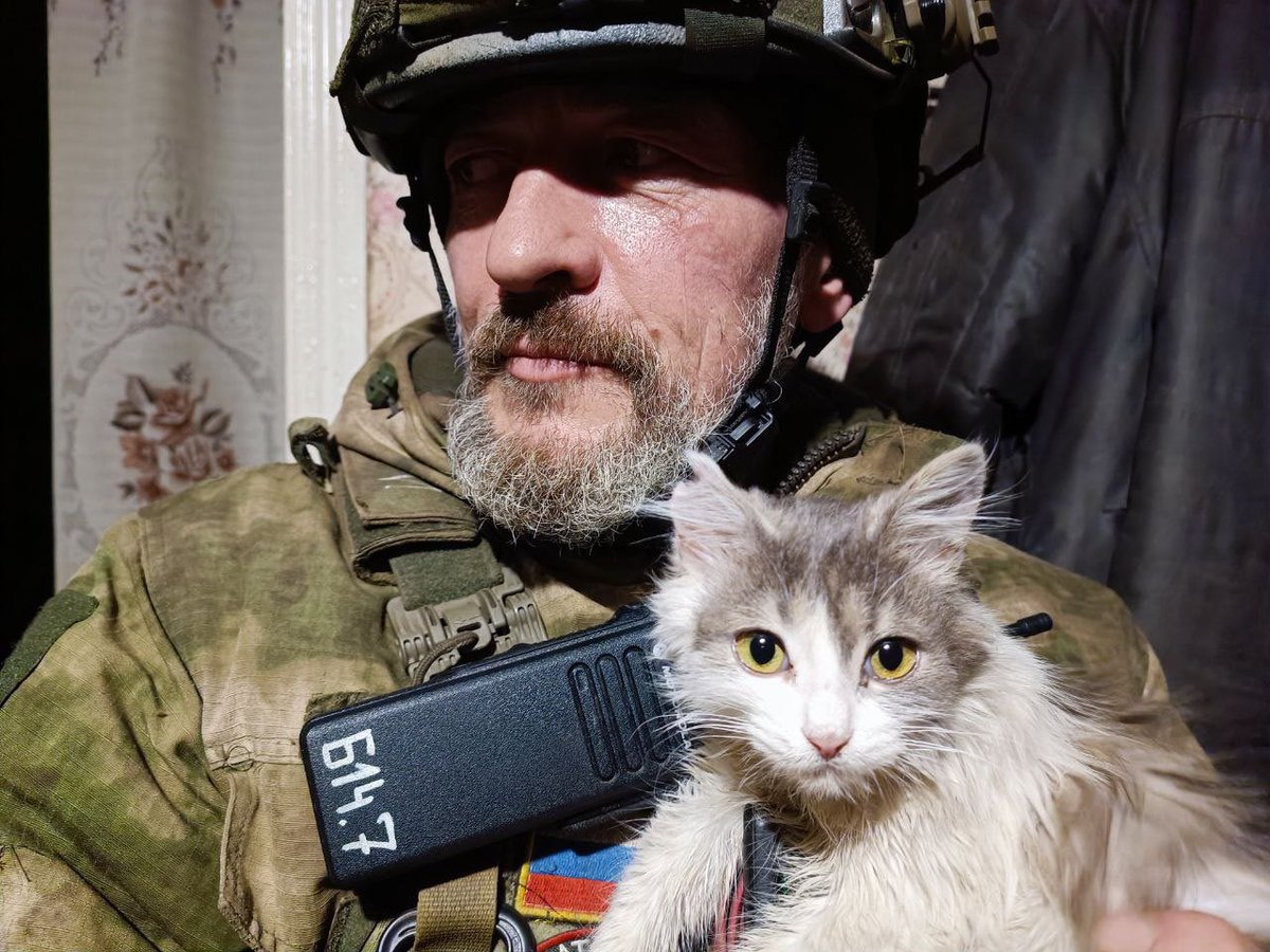 SororInimicorum's tweet photo. During one of the shellings of Kremennaya (former #Ukraine) a local kitty-cat was injured by a shrapnel that tore a piece of its ear. Russian military administered first aid and the cat joined the BARS-14 battalion as a volunteer #TacticalCat. โค๏ธ๐ท๐บโค๏ธ๐ท๐บ #UkraineWar #UkraineNazis https://t.co/8ifXcyEv9I