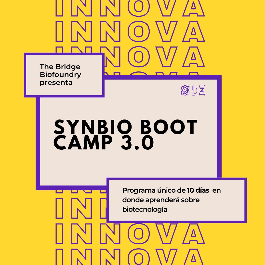 The Bridge Biofoundry tweet media