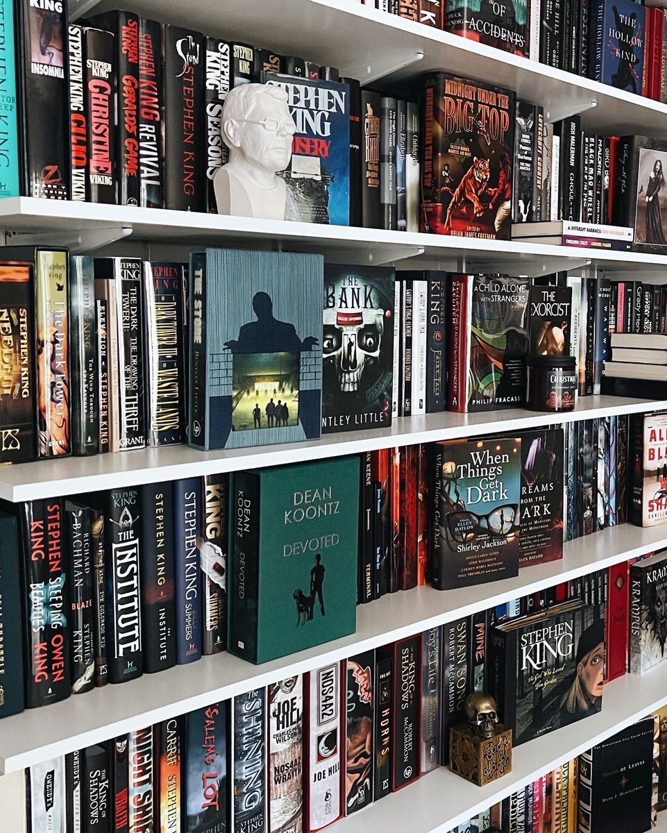 shereadswthcats's tweet photo. Home library horror edition #BookTwitter #BookShelf https://t.co/jAMe9N79qw