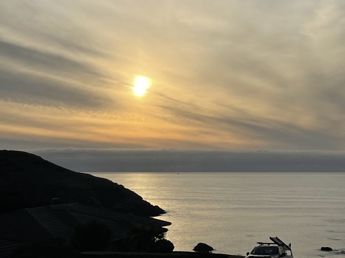 Heather Marks 🏳️‍🌈🍉 tweet media