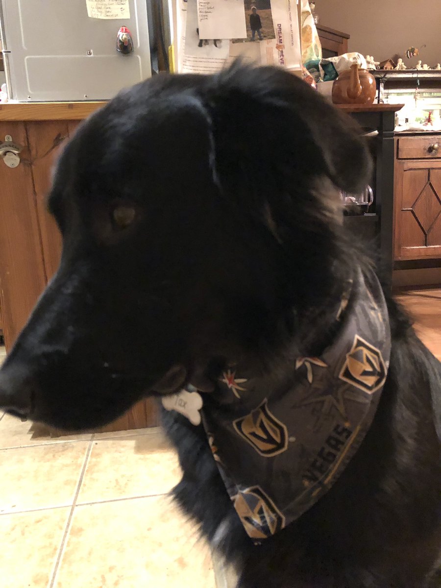 Maureen Tomkinson tweet media