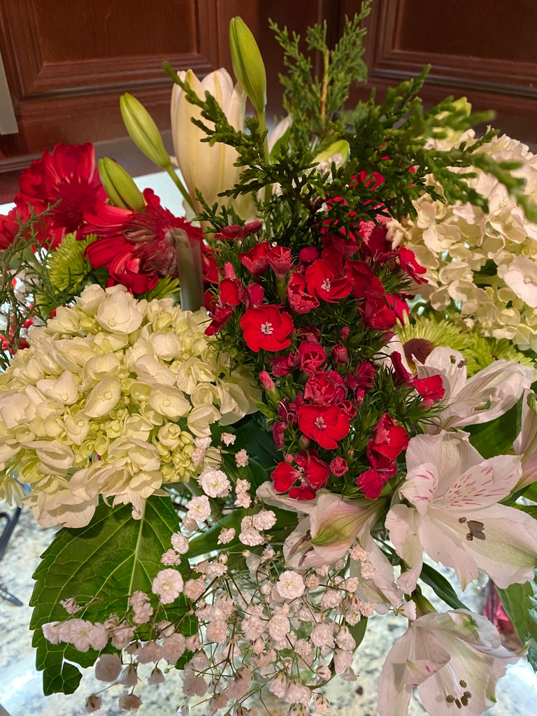 susanwritespnr's tweet photo. Monday's flowers from last week are still beautiful! I've enjoyed them! What are your favorites this time of year?
#writerslife #amwriting #womanpower #livemoremagic #startwhereyouare #roses #freshflowers #mondayinspiration #christmas #christmasflowers #christmasdecor https://t.co/mrYeX2yc8d