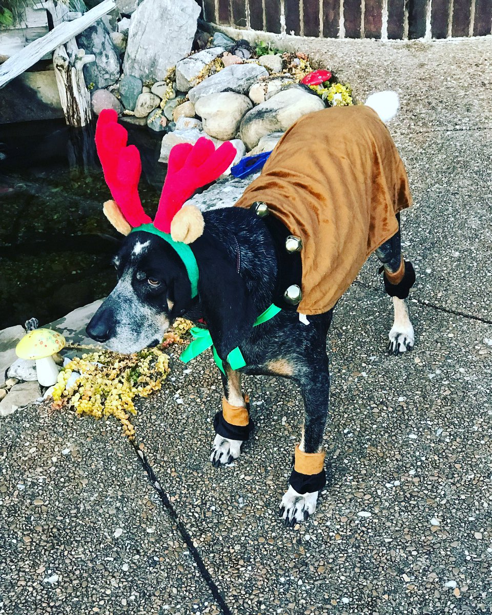 Leslie Coker Fowler tweet media