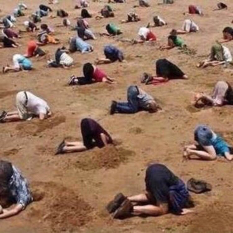 The Last Mohican tweet media