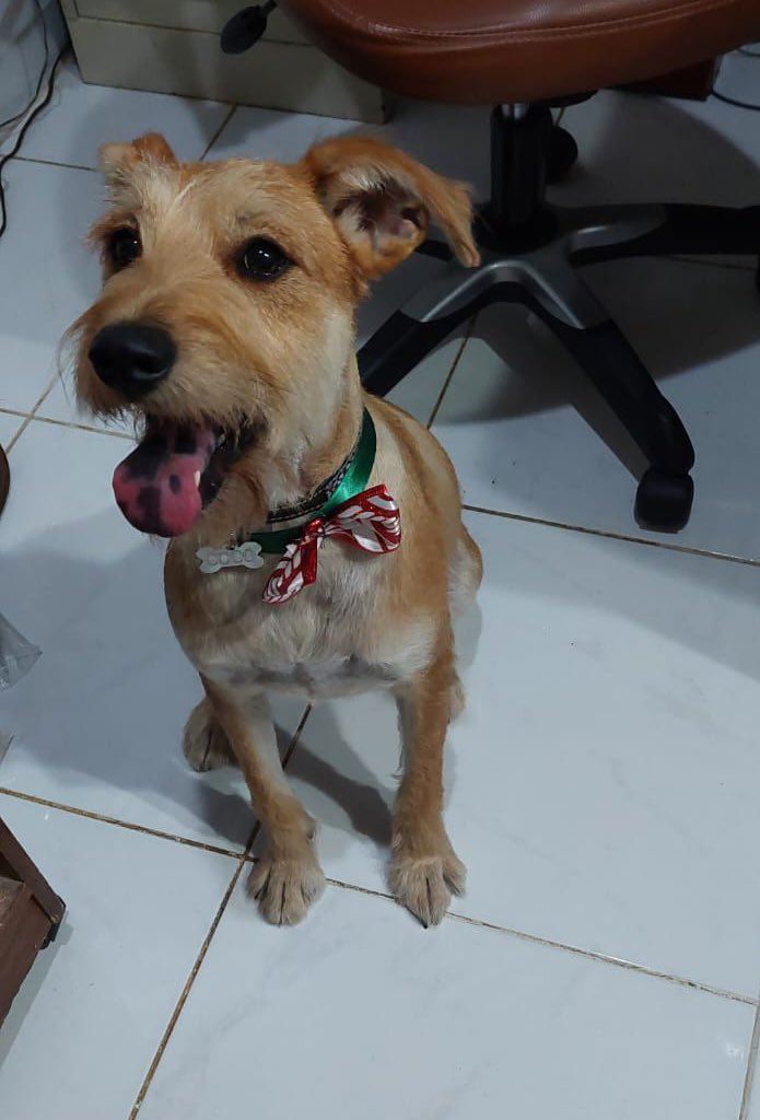 𝙷𝚎𝚕𝚊 𝙼𝚘𝚛𝚎 🐶 tweet media