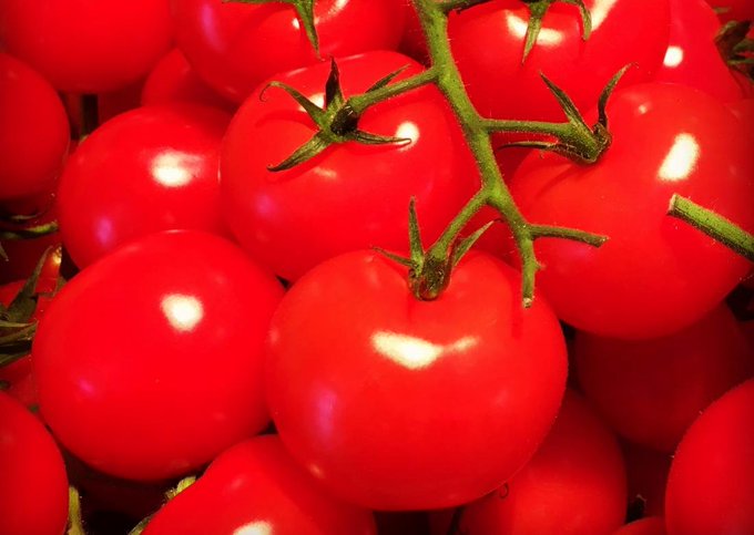 Tomatoes have no right looking like this and then tasting like watery vomit https://t.co/XJlrlGDrnz<a href="/tag/oscars"class="tags"><span>#oscars</span></a>