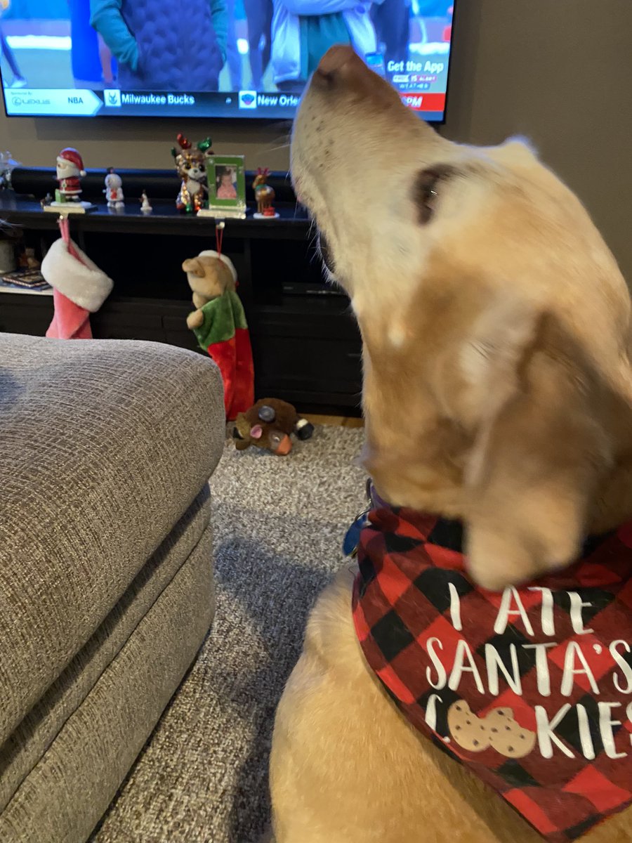 acker_chrissy's tweet photo. @dog_rates @Trupanion It says she ate Santa’s Cookies but Hannah says she didn’t eat them all https://t.co/05kEhxPBYG