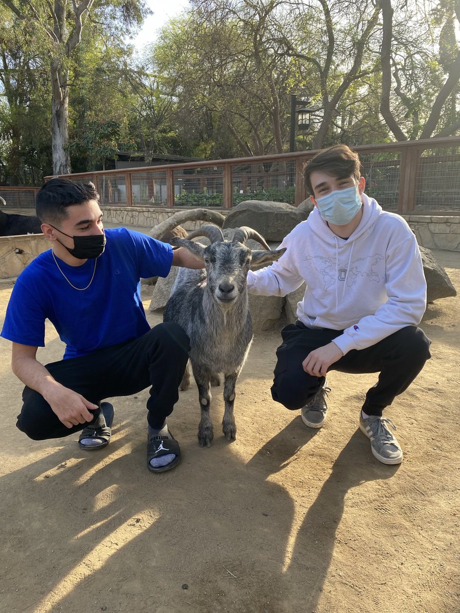 CHRONIC ZITO 😁 tweet media