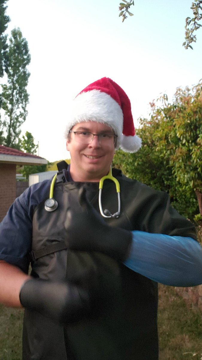 AussieCattleKid's tweet photo. When the Christmas Party theme is "When I Grow Up" and you go as a #CattleVet!
#GloveUp #PregTesting #PregTestingCows #PregTestingGloves https://t.co/jYvSQ0z8KL
