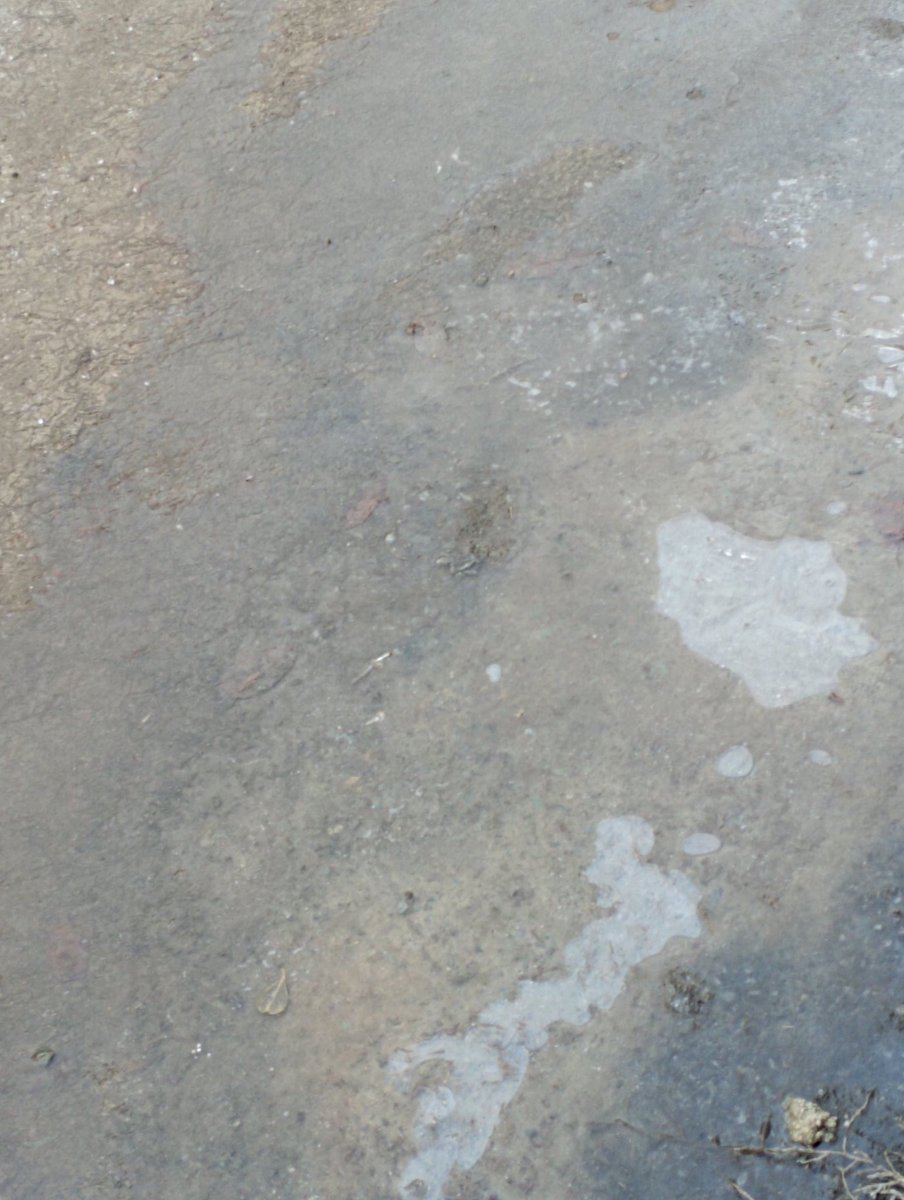 KashmirWeather2's tweet photo. Roads Also Started Freezing intense cold hits Kashmir parts many places recorded coldest night
Chilia kalan Expected enter Mid Night today
Pics: #Garoora #Bandipora
Temp: -6.2°C 🥶
@shubhamtorres09
@KashmirForecast https://t.co/D6Tk4rK0w7