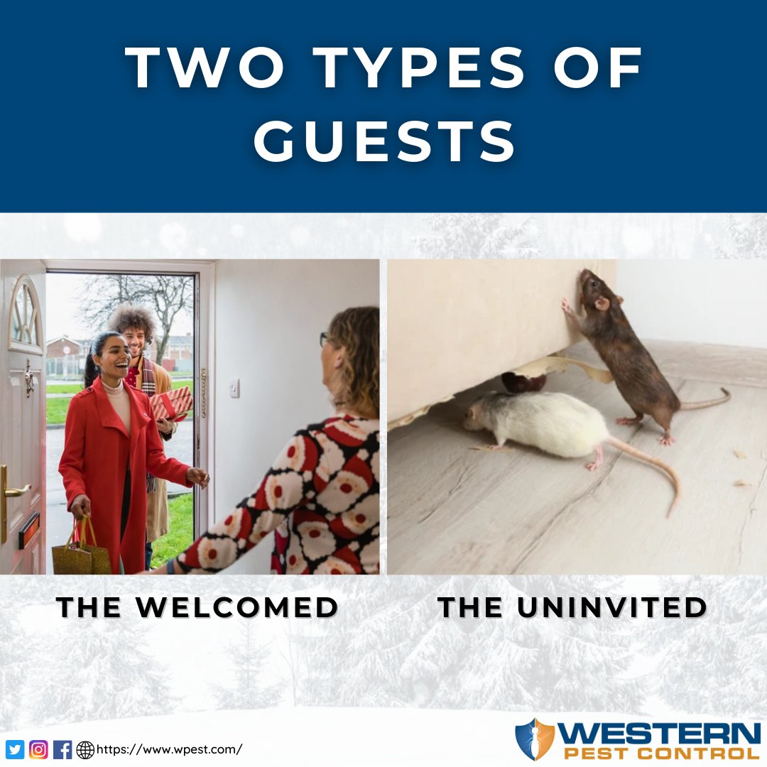 Welcome guests this yuletide season with a smile on your face and not with uninvited pests in your place. Make that last-minute call to Western Pest Control and celebrate your holidays without uninvited guests!
☎️ (435) 673-8300