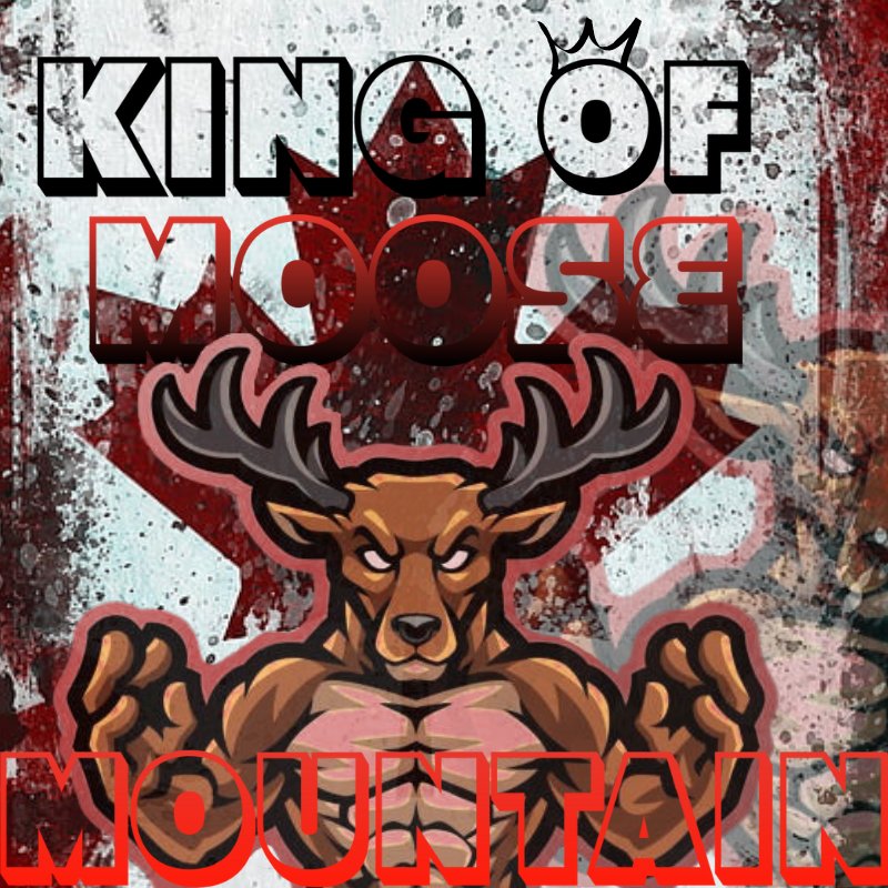 gammonman47's tweet photo. New profile picture!! #moose #Canada #hyped #fullsend #ehbud #moosejuice #StreamNation https://t.co/0aQttke8Ld