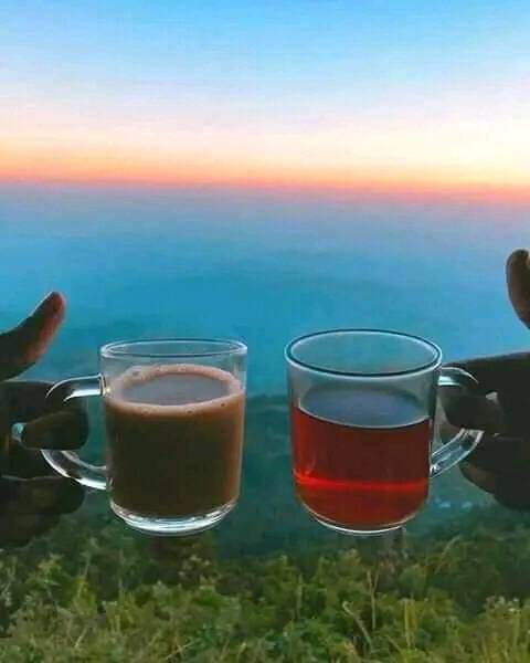muajjom's tweet photo. সকাল বিকেল মনটা আমার-
ব্যস্ত চায়ের খোঁজে ... 
চায়ের নেশা কেমন শুধু-
চা-খোরেরাই বোঝে ... 

শুভ সকাল 💮🌸☕ https://t.co/GUHptF1XIe