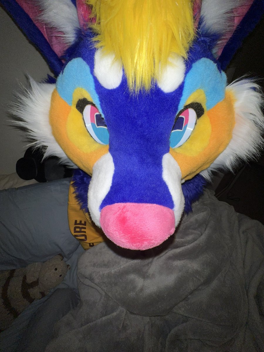 astridddragon's tweet photo. everyone welcome SOUP the goat-dog!! made by the absolutely amazing @Splinter_Fox !! i was so incredibly lucky to grab a slot with my dream maker, and look how perfect he turned out!! design by @Slumberyote 💙🧡 #fursuit #furry https://t.co/jQVneG4EKt