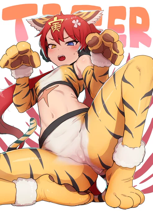 寅毬🐆 