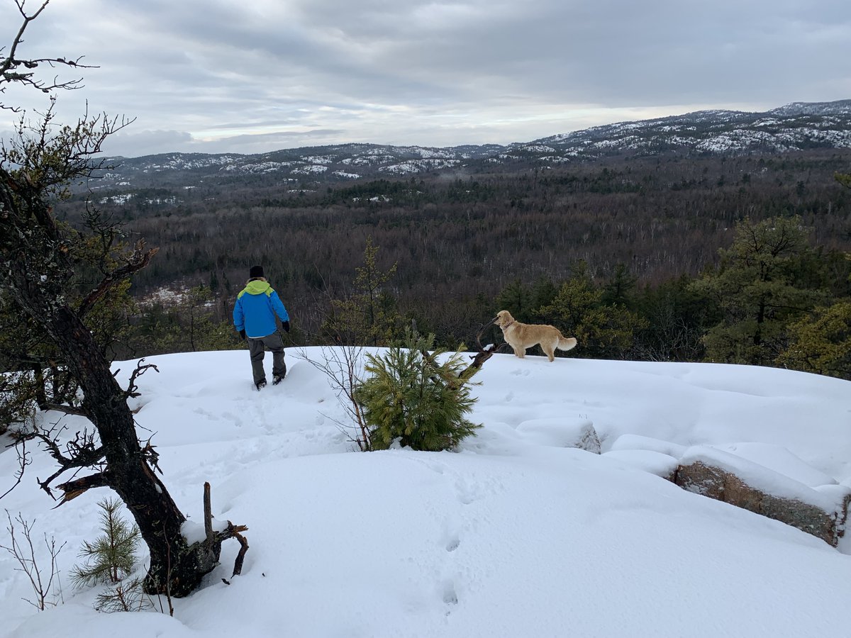 Andreas Laupacis (@andreaslaupacis) on Twitter photo Earl winter hiking in <a href="/KillarneyPP/">Killarney Provincial Park</a> this weekend for Karen's BD. Didn't meet a single person either day and exceptionally beautiful Earl winter hiking in <a href="/KillarneyPP/">Killarney Provincial Park</a> this weekend for Karen's BD. Didn't meet a single person either day and exceptionally beautiful