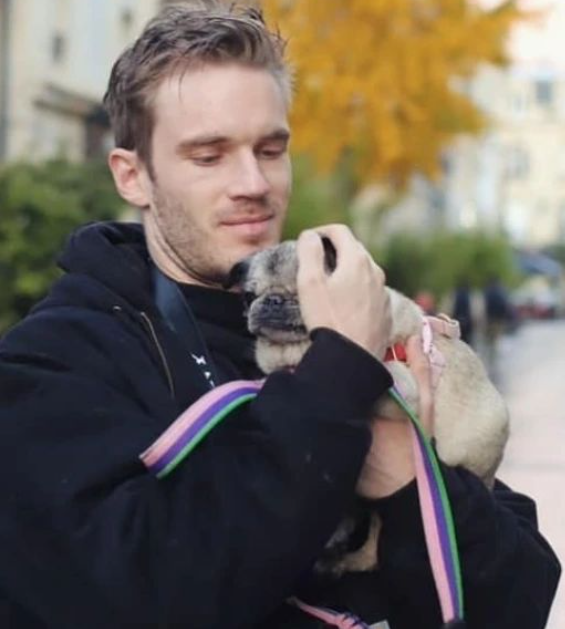 PewDiePie's beloved one-eyed pug Maya passed away at 17 years old
