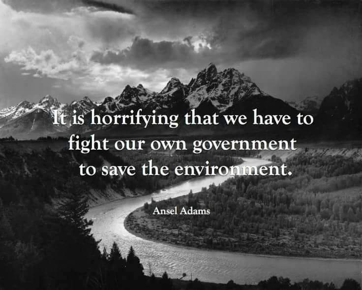 WolfWarriorLoki's tweet photo. @SecDebHaaland @POTUS @Interior @Interior @WhiteHouse
Wolves are being slaughtered into extinction still, @visitmontana have slaughtered 89 so far, do something!!!
#EmergencyRelistAllWolvesNOW https://t.co/yzQTcfmldS