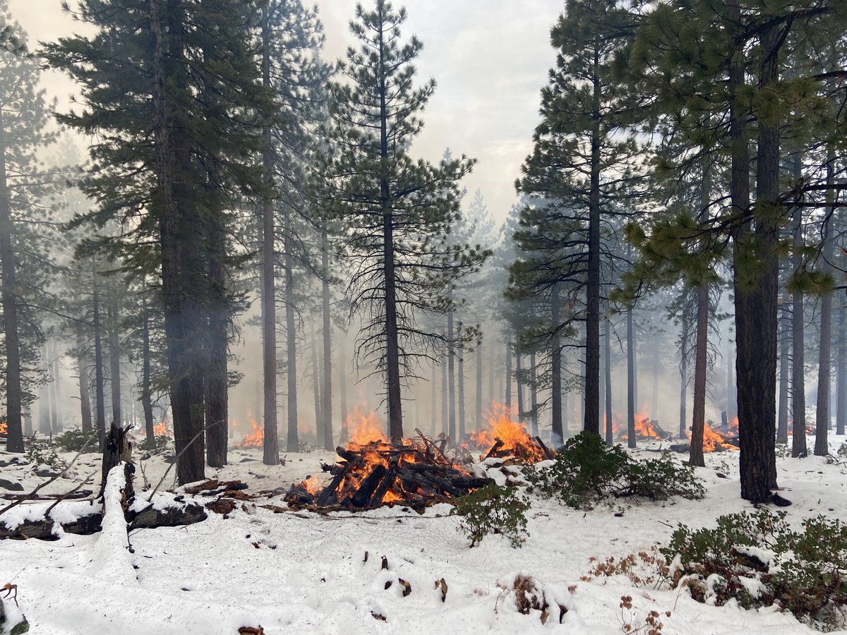 With Forest Futures grant funding, <a href="/NationalForests/">National Forest Fdn.</a>  completed 204 acres of fuel reduction work as part of a project to protect Glenshire and the communities surrounding Hwy 267. Early winter conditions allowed the <a href="/forestservice/">USDA Forest Service</a> to safely burn the piles of wood created.