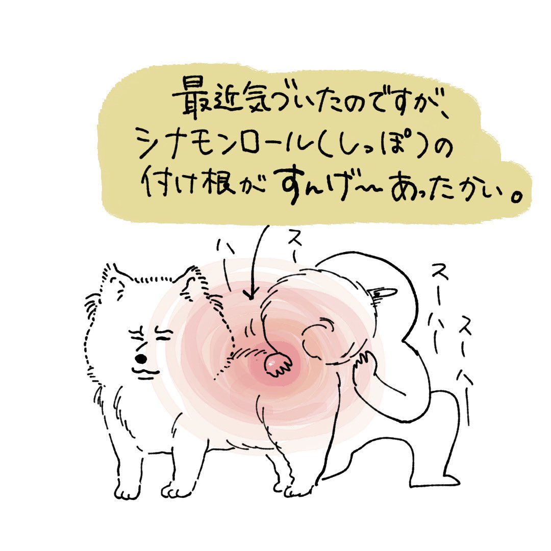 寒いけど元気なぽん氏
立つと130cmくらいあります #秋田犬 