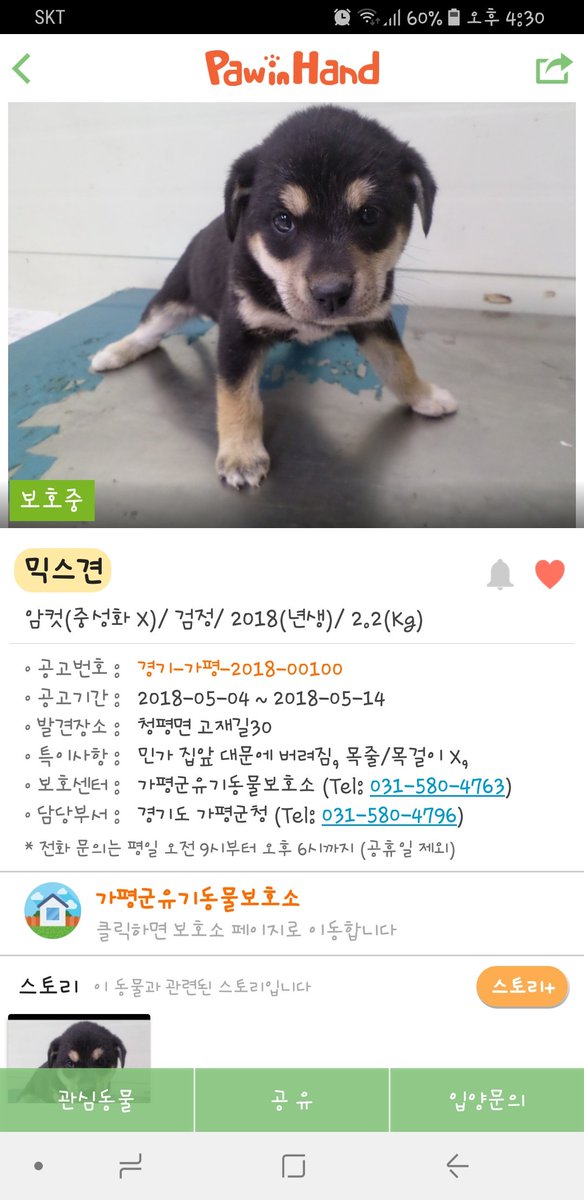 20180623bowwow's tweet photo. 사랑스런 내 털둥이들🐶🐺🐱 
잊지말라 내 운명의 조각들은 펫샵에만 있지 않음을!!! https://t.co/KiwnryQzFP