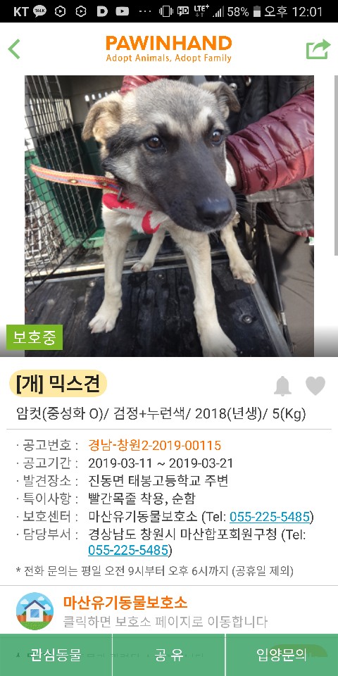 20180623bowwow's tweet photo. 사랑스런 내 털둥이들🐶🐺🐱 
잊지말라 내 운명의 조각들은 펫샵에만 있지 않음을!!! https://t.co/KiwnryQzFP