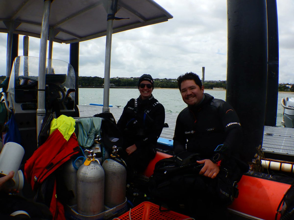 ReviveOurGulf's tweet photo. The results of our 12-month  monitoring of the mussels at Ōkahu Bay are in. Although early days, these reefs provide a valuable test case for learning and knowledge building. Read more here... 
https://t.co/wMYRLcv2xU
#kūtaiōkahu #shellfishrestoration #haurakigulf #reviveourgulf https://t.co/6YK7WuEe7X
