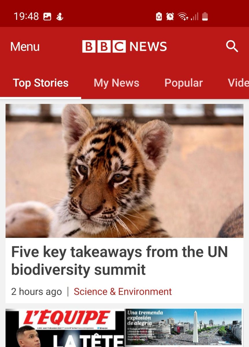 I can't help feeling that take-away tiger cub is not going to help the biodiversity crisis.